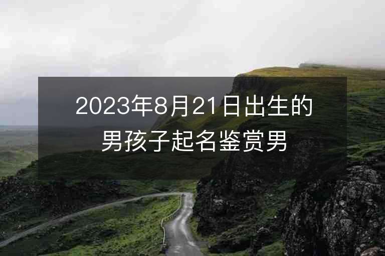 2023年8月21日出生的男孩子起名鉴赏男孩子刚强有劲的名字精选