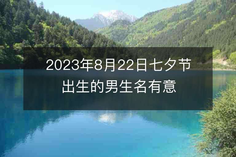 2023年8月22日七夕节出生的男生名有意义的癸卯兔年男孩取名字推荐