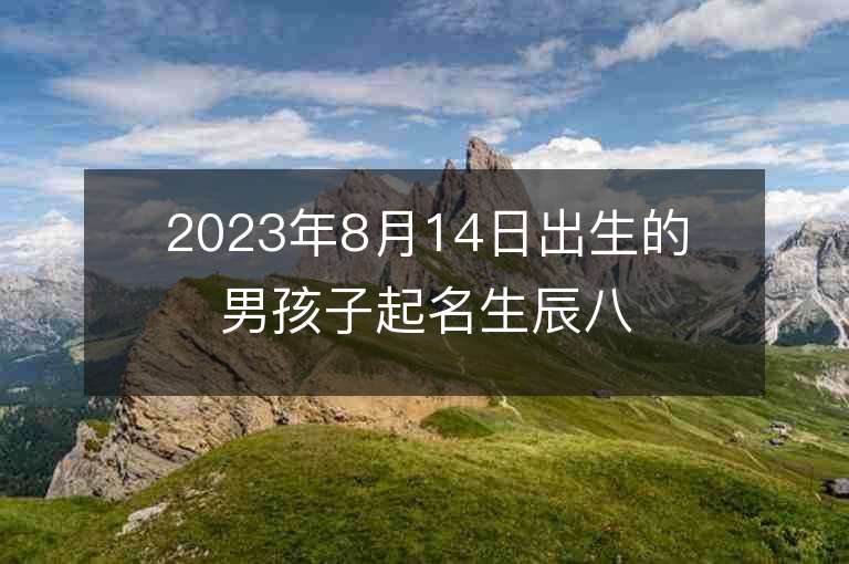 2023年8月14日出生的男孩子起名生辰八字兔年男孩子取名常用字集锦