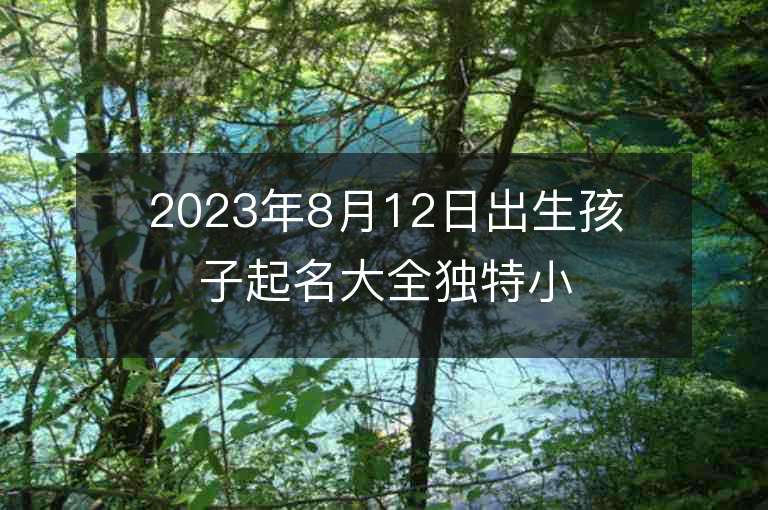 2023年8月12日出生孩子起名大全独特小众的我兔宝宝名字推荐