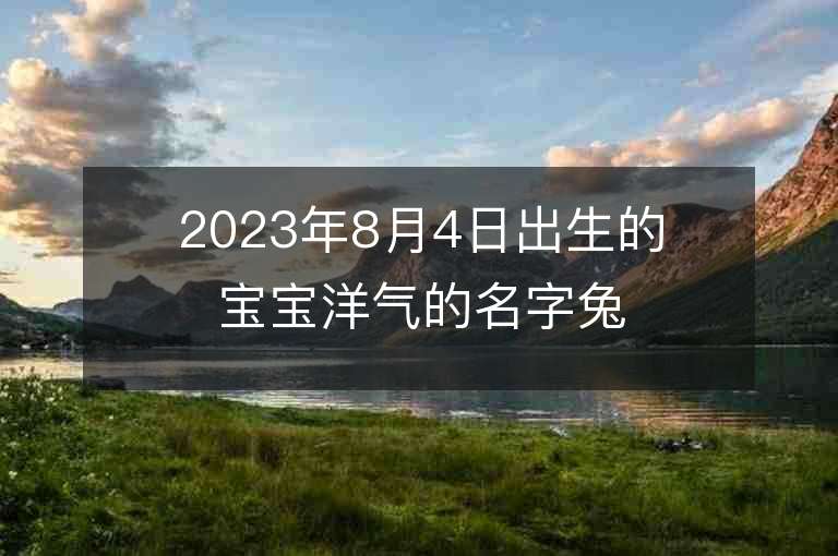 2023年8月4日出生的宝宝洋气的名字兔年就让男孩子前程美好吧