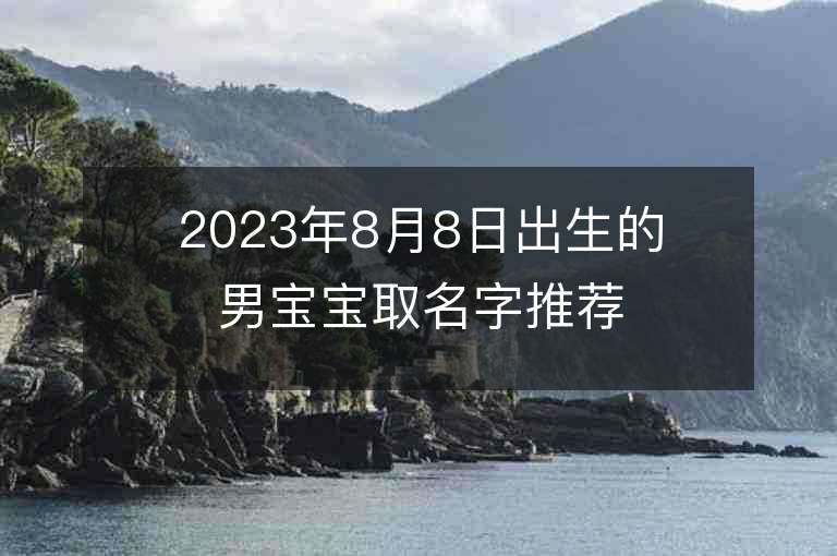 2023年8月8日出生的男宝宝取名字推荐大气有涵养的名字带解释