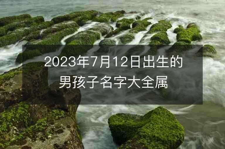 2023年7月12日出生的男孩子名字大全属兔宝宝应该选用什么样的字