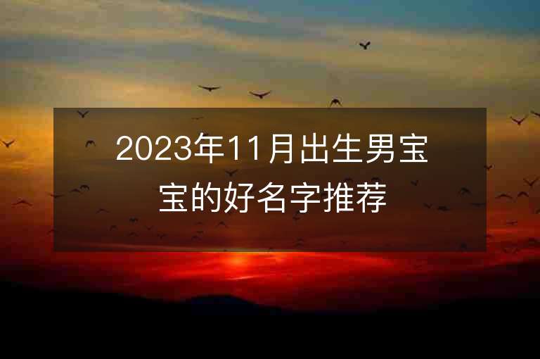 2023年11月出生男宝宝的好名字推荐