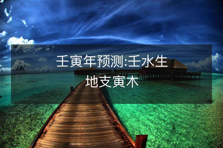 壬寅年预测:壬水生地支寅木