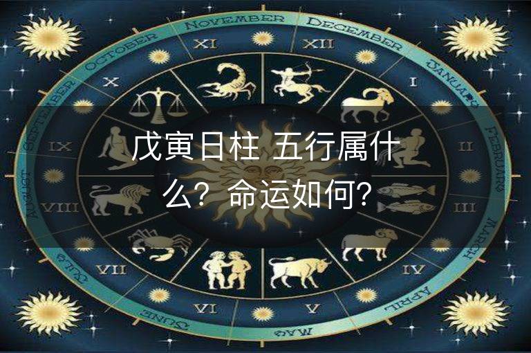 戊寅日柱 五行属什么？命运如何？