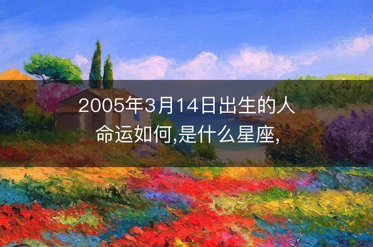 2005年3月14日出生的人命运如何,是什么星座,八字五行