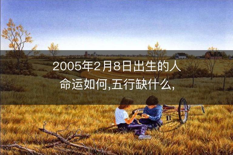 2005年2月8日出生的人命运如何,五行缺什么,是什么星座