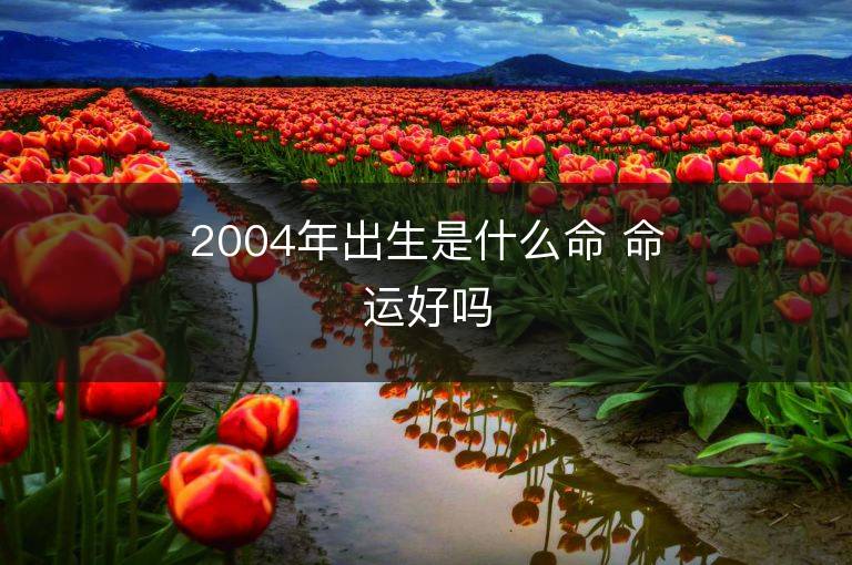 2004年出生是什么命 命运好吗