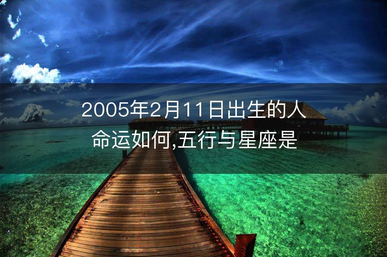 2005年2月11日出生的人命运如何,五行与星座是什么