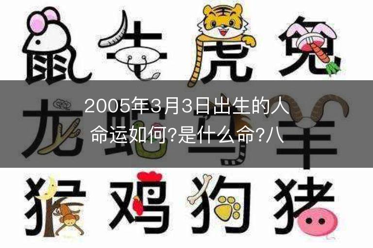 2005年3月3日出生的人命运如何?是什么命?八字好不好