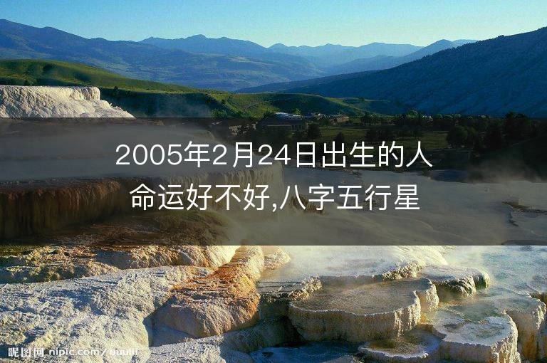 2005年2月24日出生的人命运好不好,八字五行星座是什么