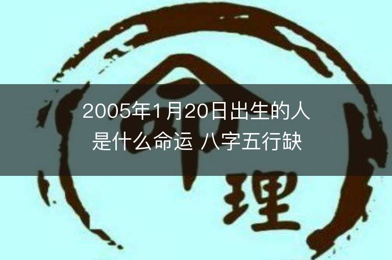 2005年1月20日出生的人是什么命运 八字五行缺什么