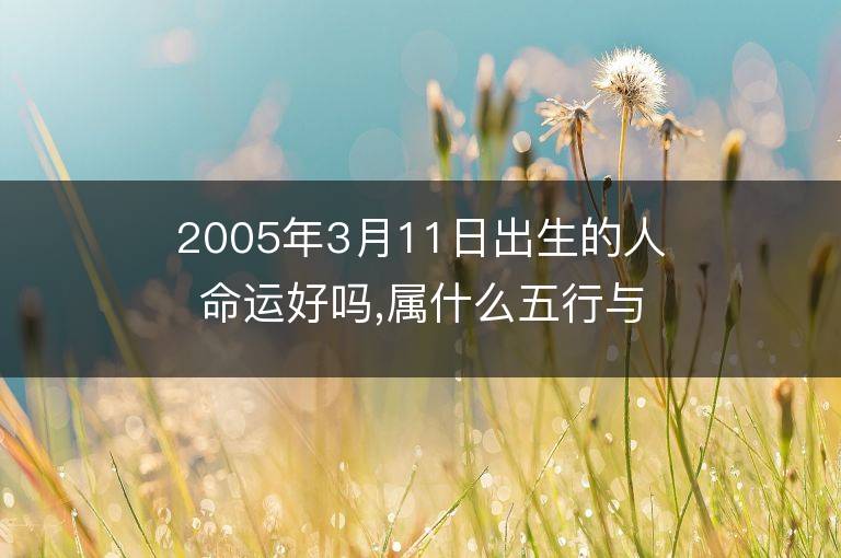 2005年3月11日出生的人命运好吗,属什么五行与星座