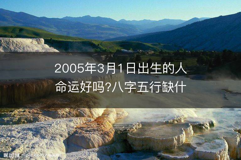 2005年3月1日出生的人命运好吗?八字五行缺什么?是什么命?