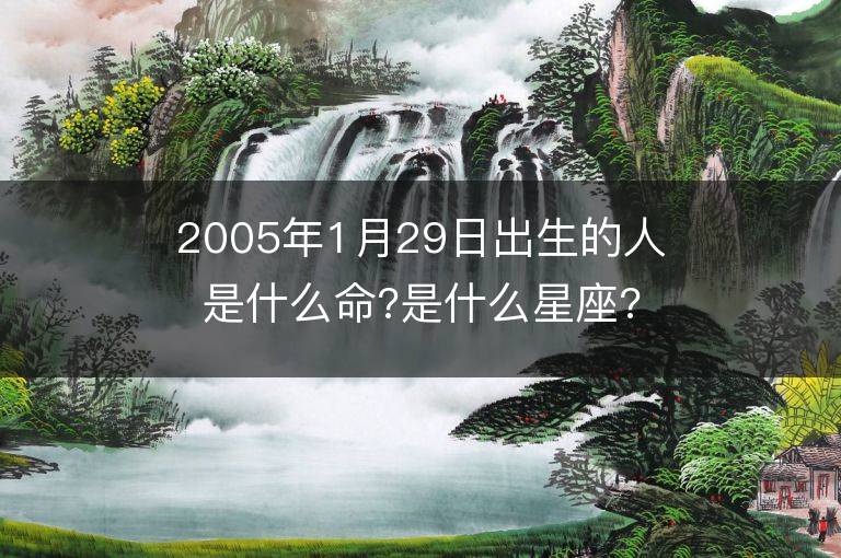 2005年1月29日出生的人是什么命?是什么星座?八字五行缺什么?