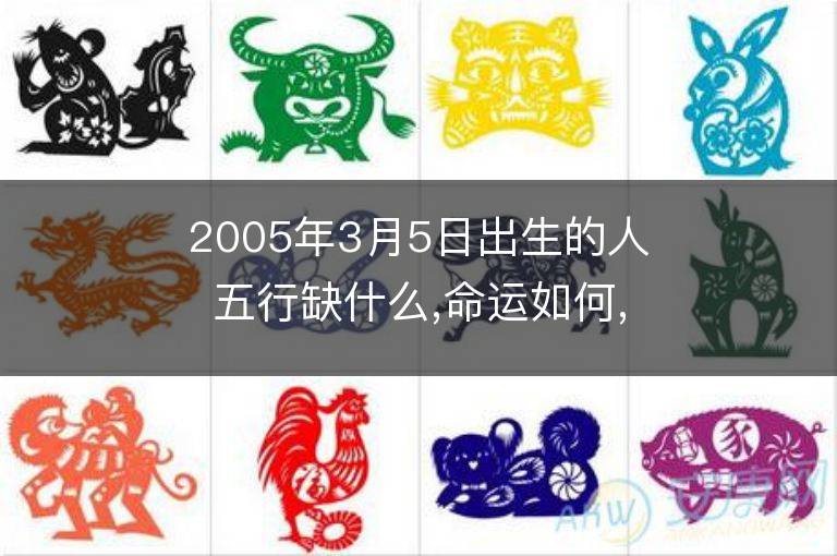 2005年3月5日出生的人五行缺什么,命运如何,是什么星座