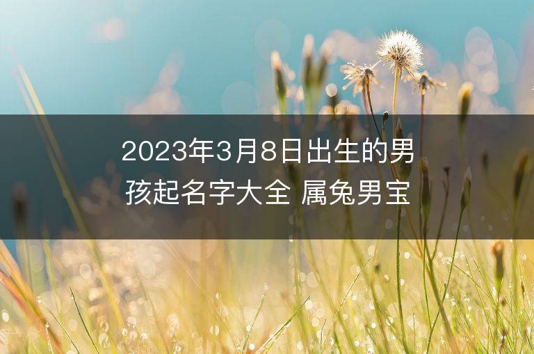 2023年3月8日出生的男孩起名字大全 属兔男宝宝取名