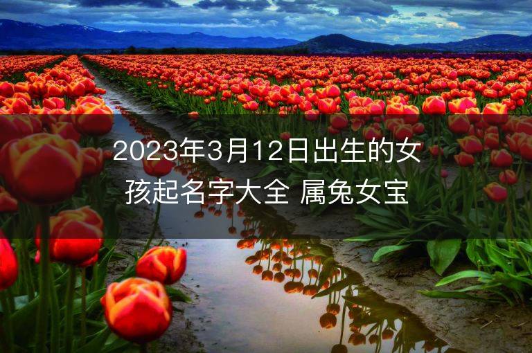 2023年3月12日出生的女孩起名字大全 属兔女宝宝取名