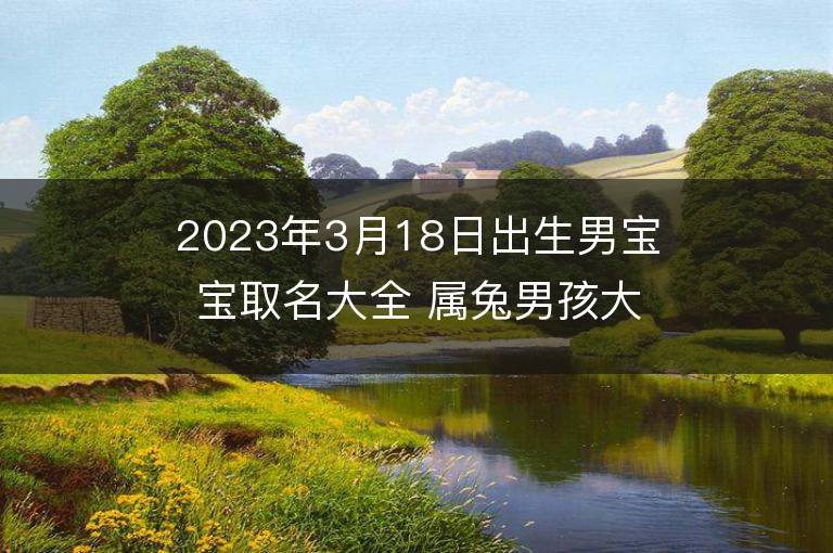 2023年3月18日出生男宝宝取名大全 属兔男孩大方的名字