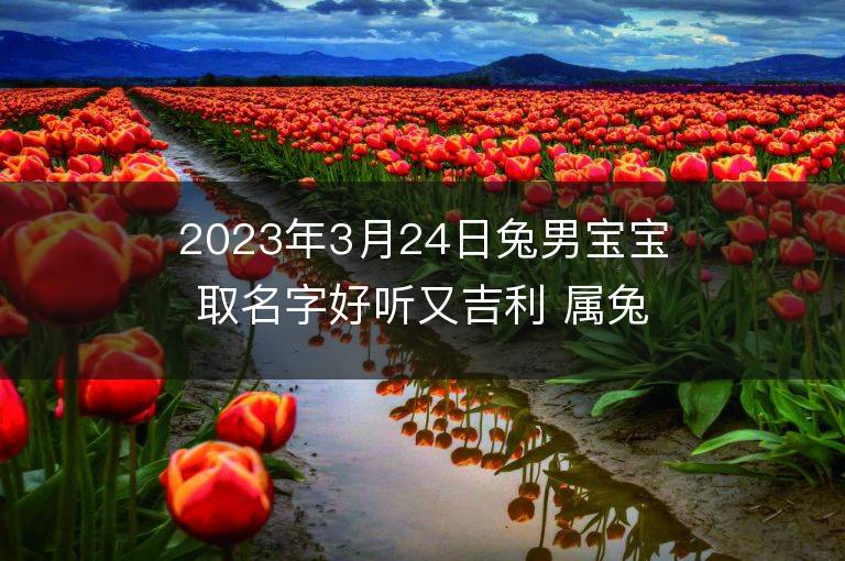 2023年3月24日兔男宝宝取名字好听又吉利 属兔男孩最吉利的名字