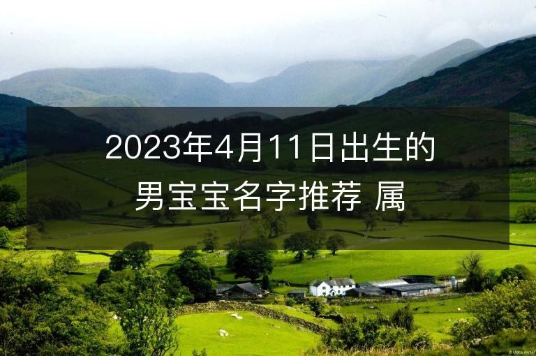 2023年4月11日出生的男宝宝名字推荐 属兔男孩宝取名大全