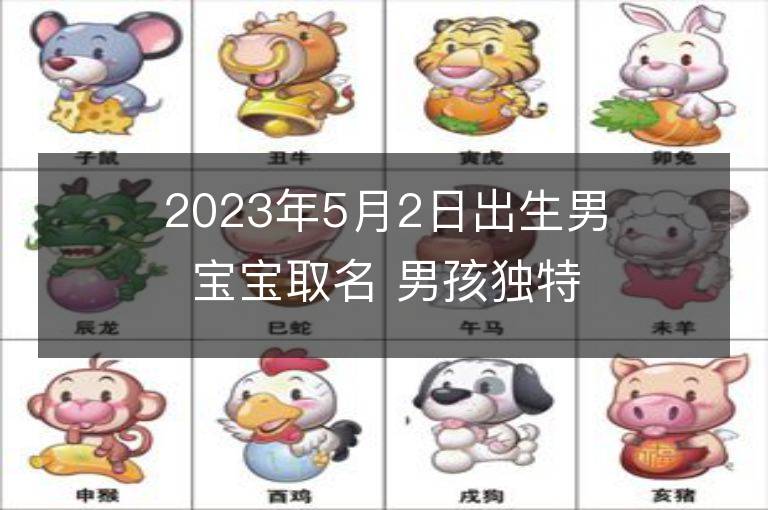 2023年5月2日出生男宝宝取名 男孩独特好听的兔宝宝名字