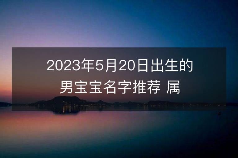 2023年5月20日出生的男宝宝名字推荐 属兔男孩宝取名大全