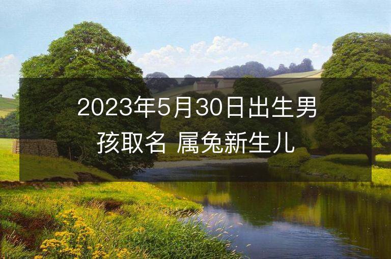 2023年5月30日出生男孩取名 属兔新生儿高分好名