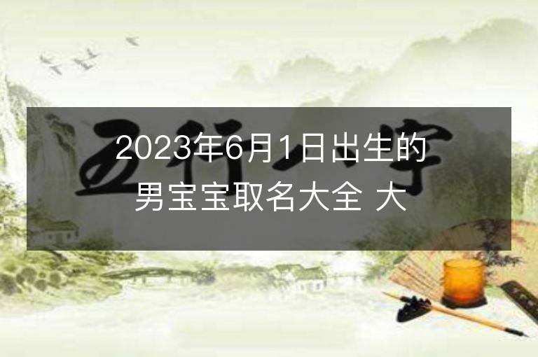 2023年6月1日出生的男宝宝取名大全 大气的男孩名字