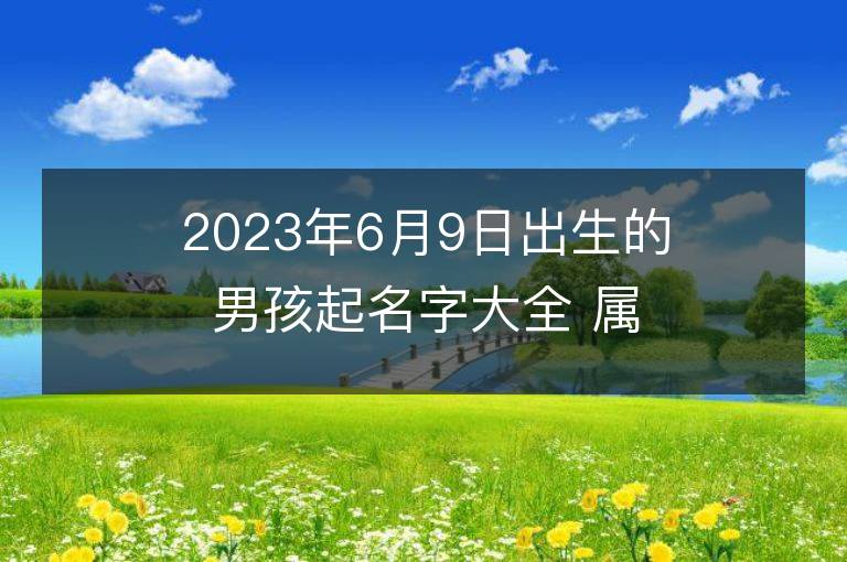 2023年6月9日出生的男孩起名字大全 属兔男宝宝取名方法