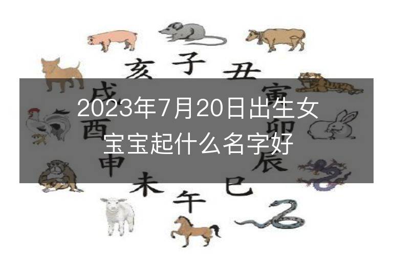 2023年7月20日出生女宝宝起什么名字好 属兔女孩洋气名字