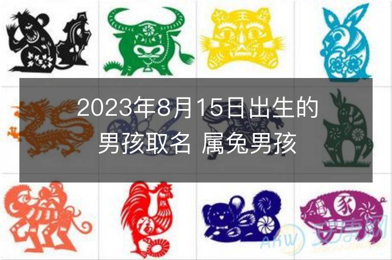 2023年8月15日出生的男孩取名 属兔男孩有气质名字