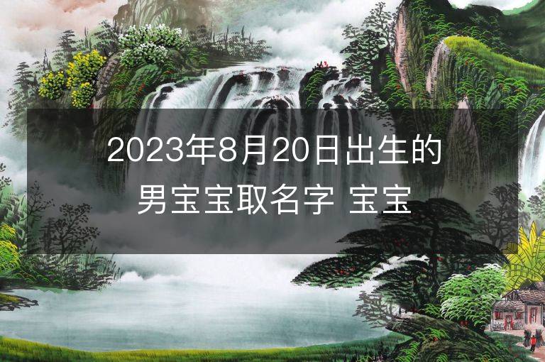 2023年8月20日出生的男宝宝取名字 宝宝起名免费取名字大全