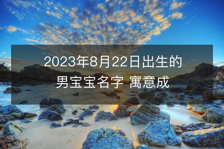 2023年8月22日出生的男宝宝名字 寓意成功的名字