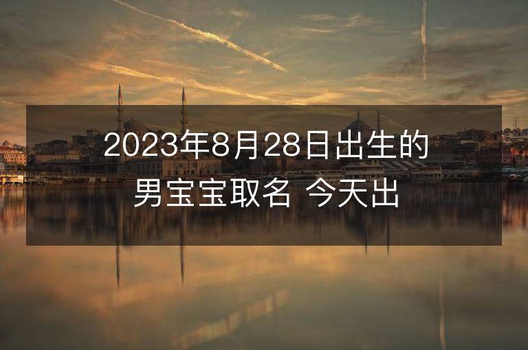 2023年8月28日出生的男宝宝取名 今天出生叫什么名字好