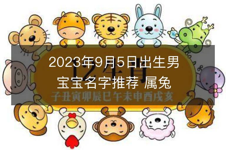 2023年9月5日出生男宝宝名字推荐 属兔男孩有气质名字