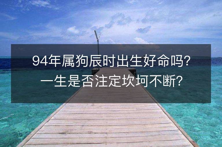 94年属狗辰时出生好命吗？一生是否注定坎坷不断？