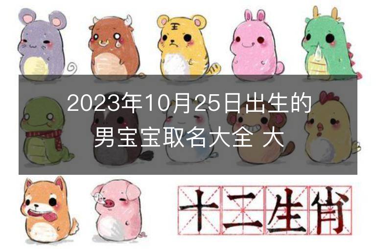 2023年10月25日出生的男宝宝取名大全 大气的男孩名字