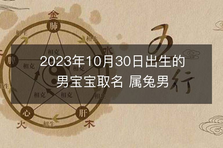 2023年10月30日出生的男宝宝取名 属兔男孩名字推荐