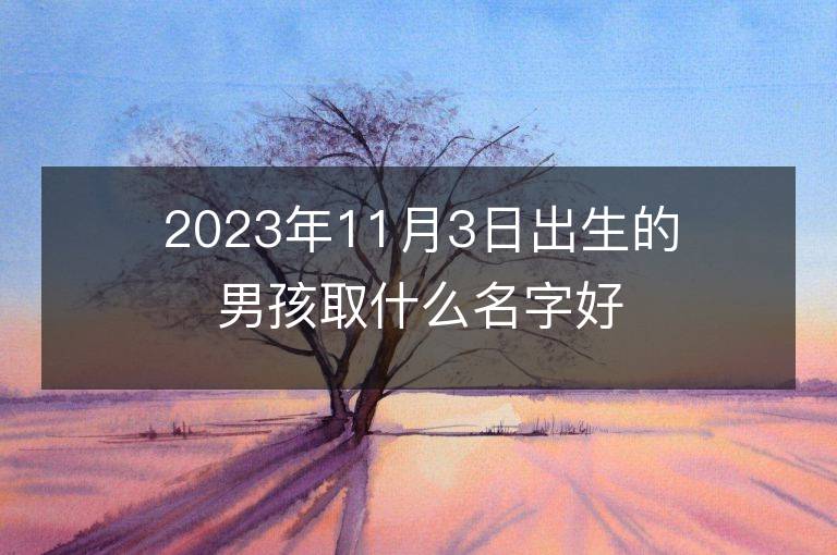 2023年11月3日出生的男孩取什么名字好