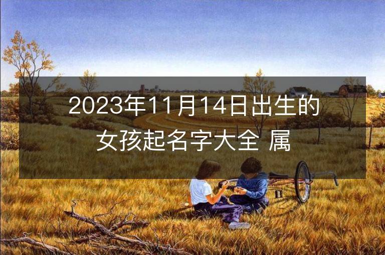 2023年11月14日出生的女孩起名字大全 属兔女宝宝取名方法