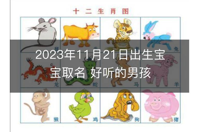 2023年11月21日出生宝宝取名 好听的男孩名字