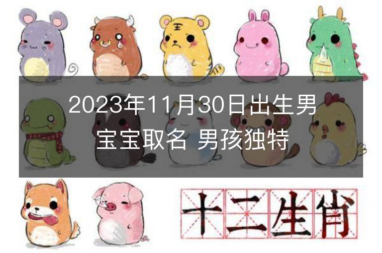 2023年11月30日出生男宝宝取名 男孩独特好听的兔宝宝名字