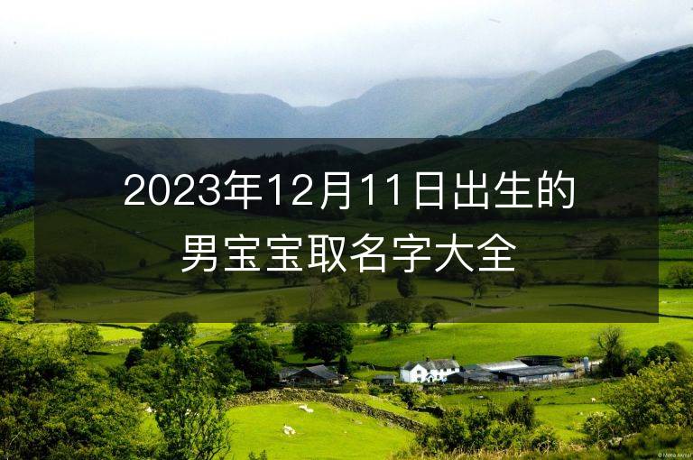 2023年12月11日出生的男宝宝取名字大全