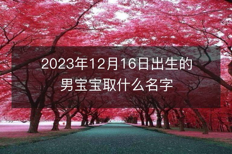 2023年12月16日出生的男宝宝取什么名字好