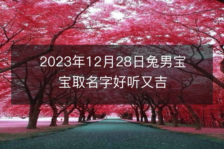 2023年12月28日兔男宝宝取名字好听又吉利 属兔男孩最吉利的名字