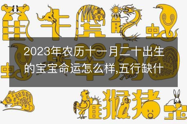 2023年农历十一月二十出生的宝宝命运怎么样,五行缺什么吗