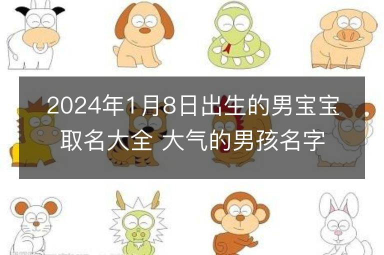 2024年1月8日出生的男宝宝取名大全 大气的男孩名字