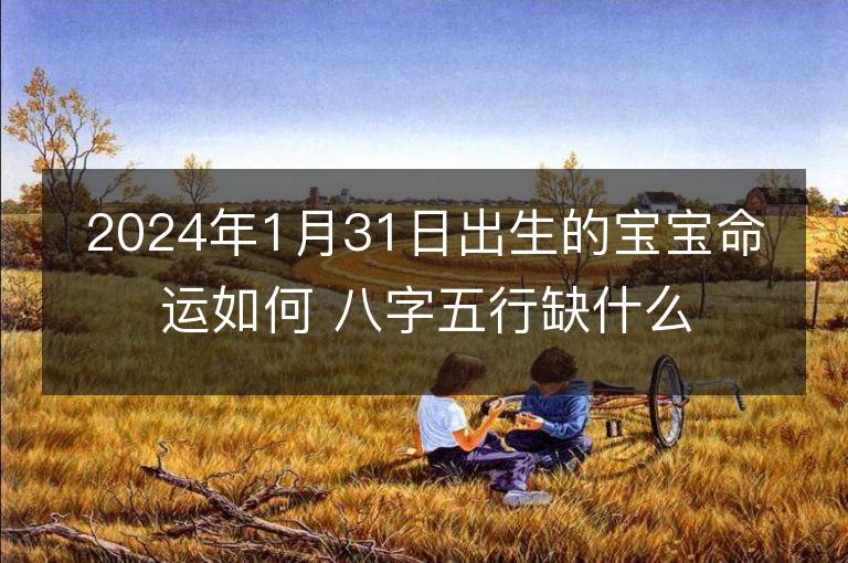 2024年1月31日出生的宝宝命运如何 八字五行缺什么